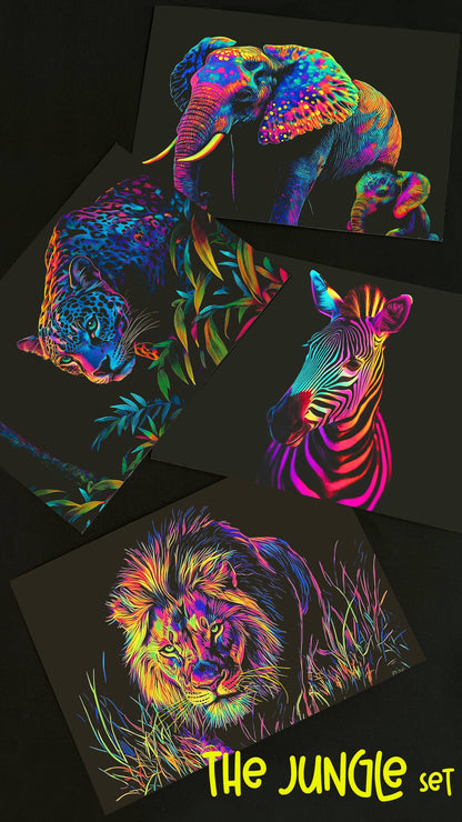 Wildlife Series
